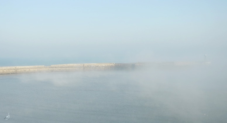Estran-brumeux_L50xH27_digi-canson-ragII-©laGoeletteduGoeland.jpg