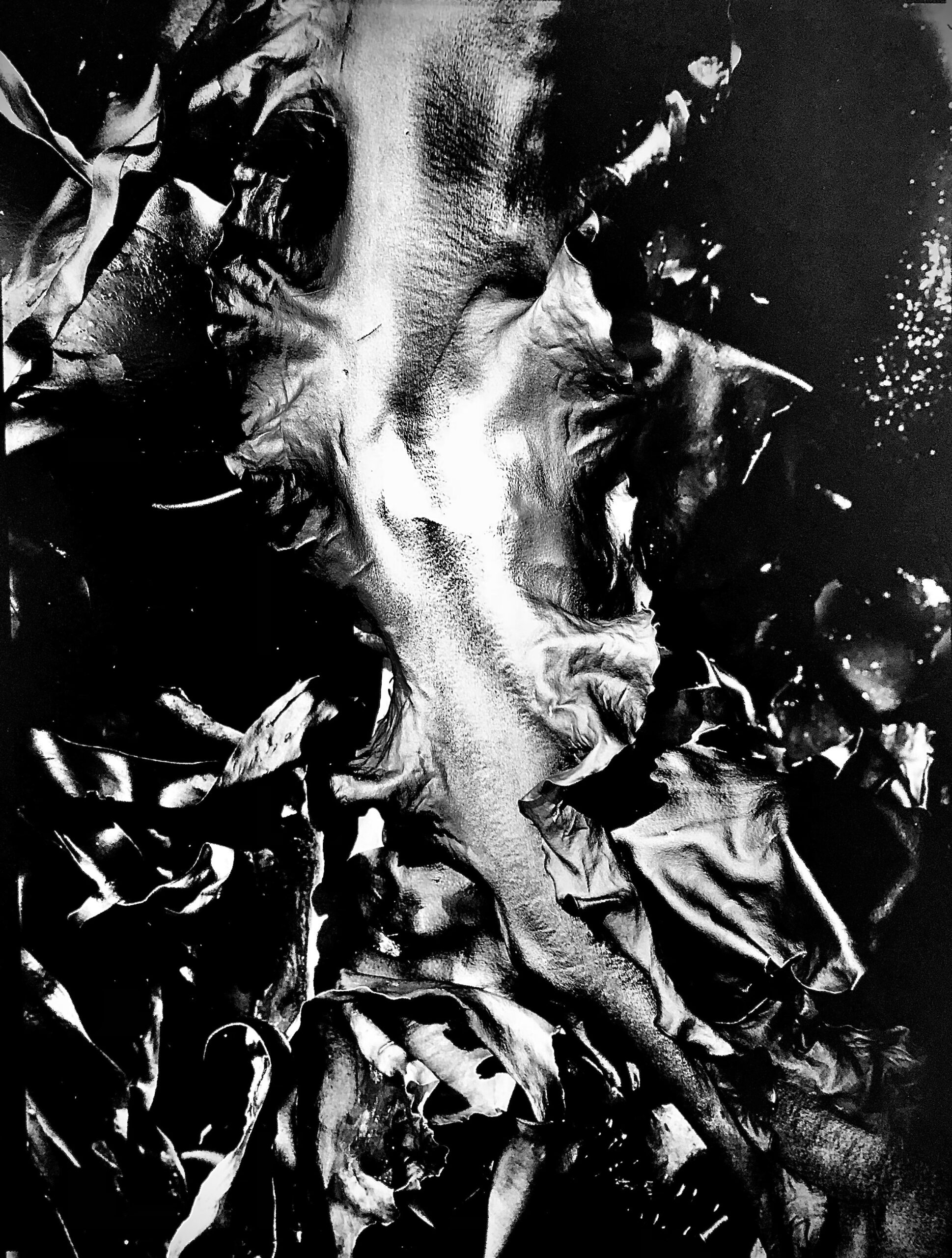 Algues I ©OlivierMeriel - galerie lagoelettedugoéland