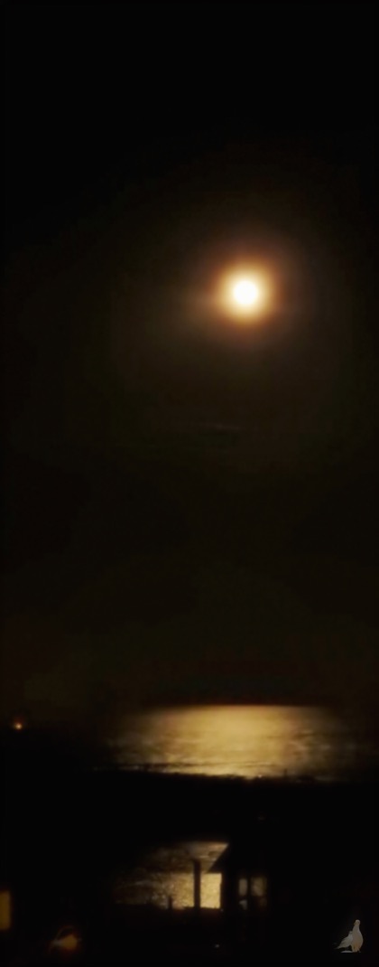 Nocturne, photographie de la série Entre-vu de Catherine Clemenceau, tirage en vente à la galerie La Goélette du Goéland