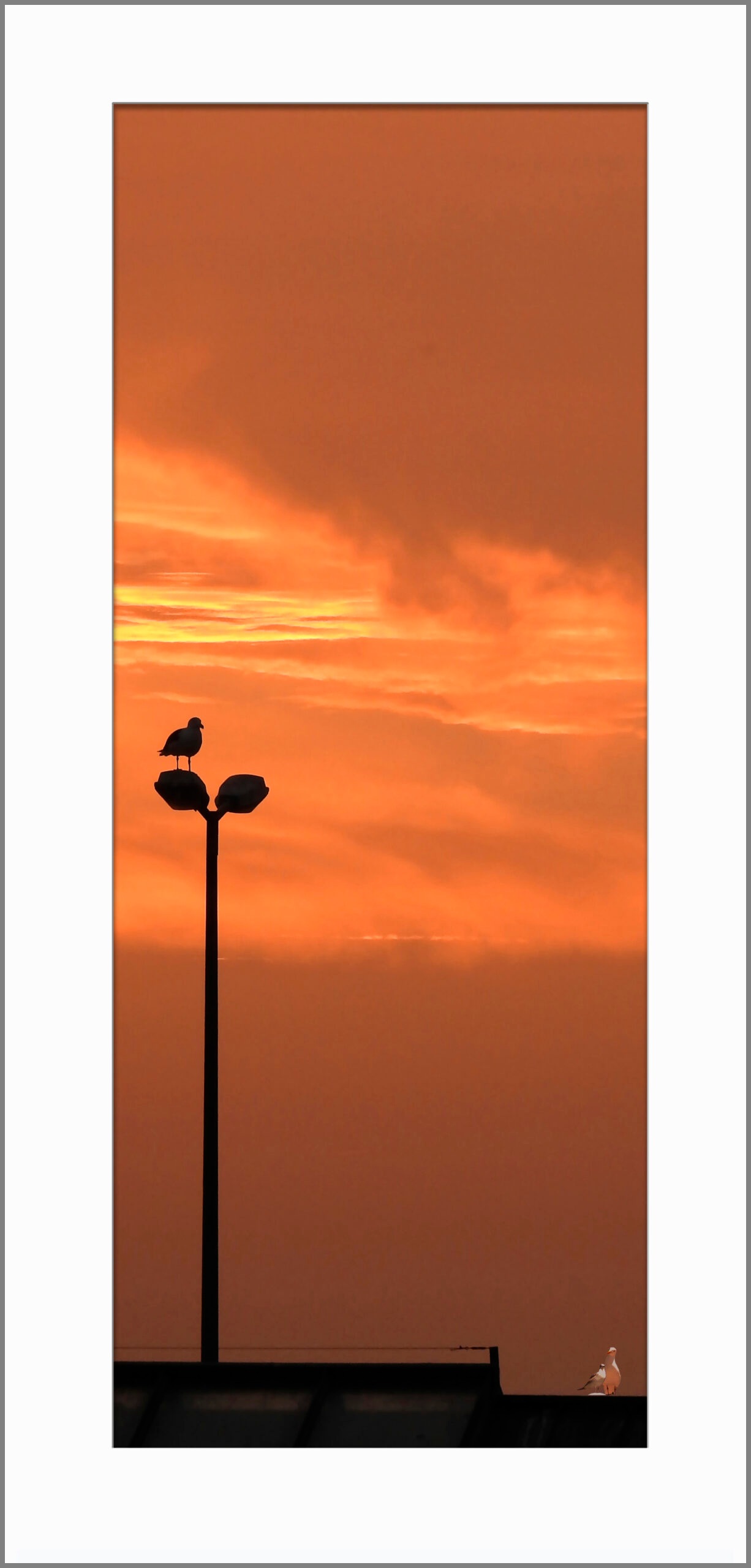 Petit matin, photographie de la série Entre-vu de Catherine Clemenceau, tirage en vente à la galerie La Goélette du Goéland