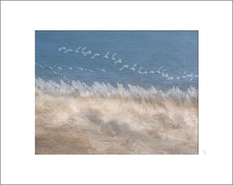L'Envol, photographie de la série Vibrations de Franck Dumas, tirage en vente à la galerie La Goélette du Goéland