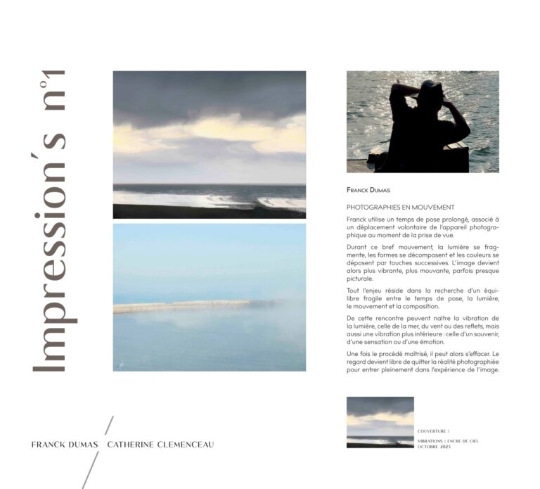 Couverture : Impression's n° 1, Vibrations / Entre-vu